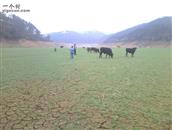 广西,贺州市,八步区,铺门镇,兴华村