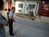 陕西省,宝鸡市,眉县,齐镇,曲兴村