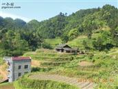 贵州省,黔东南州,天柱县,瓮洞镇,岑干村