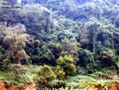 云南省,文山州,丘北县,平寨乡,平寨村