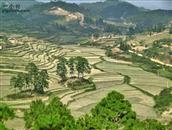 云南省,文山州,丘北县,平寨乡,平寨村