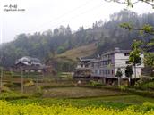 麒麟村 