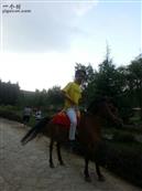 贵州省,安顺市,西秀区,双堡镇,大坝村