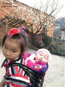 贵州省,安顺市,西秀区,双堡镇,大坝村