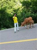 贵州省,安顺市,西秀区,双堡镇,大坝村