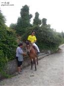 贵州省,安顺市,西秀区,双堡镇,大坝村