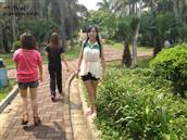 贵州省,安顺市,西秀区,双堡镇,大坝村