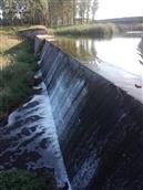 山东省,潍坊市,坊子区,九龙街道,西河下村