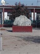 山东省,泰安市,东平县,接山镇,姜庄村