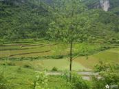 重庆市,酉阳县,黑水镇,大泉村