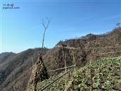 陕西省,安康市,汉滨区,谭坝镇,鸭蛋河村