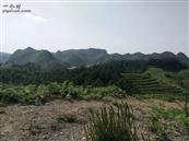 贵州省,安顺市,西秀区,双堡镇,大坝村