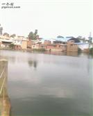 黑尼村 这是黑尼村的水塘