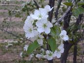 甘肃省,白银市,靖远县,兴隆乡,马尾村