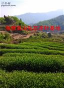 贵州省,毕节市,赫章县,古达乡,海营村