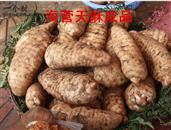 贵州省,毕节市,赫章县,古达乡,海营村