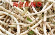 贵州省,毕节市,赫章县,古达乡,海营村