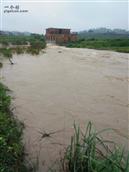 排桥村 2016年5月19号早上下暴雨，中午时小河就成了洪水