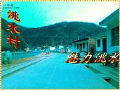 甘肃省,陇南市,礼县,洮坪乡,洮水村