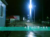甘肃省,陇南市,礼县,洮坪乡,洮水村