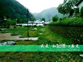甘肃省,陇南市,礼县,洮坪乡,洮水村