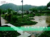 甘肃省,陇南市,礼县,洮坪乡,洮水村