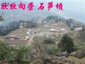 云南省,昭通市,彝良县,龙海乡,石笋村