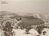 晏岗村 冬雪