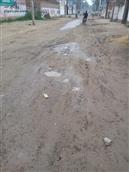 山东省,菏泽市,东明县,大屯镇,东夏营村