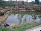 湖北省,黄冈市,蕲春县,株林镇,榔木冲村