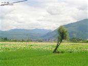 福建省,南平市,建阳区,将口镇,回潭村