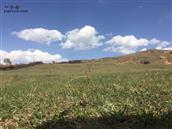 甘肃省,定西市,渭源县,会川镇,罗家磨村