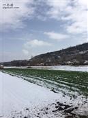 甘肃省,定西市,渭源县,会川镇,罗家磨村