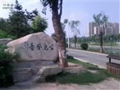 山东省,济南市,商河县,张坊乡,老董村