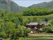 甘肃省,陇南市,礼县,宽川乡,廖寺村
