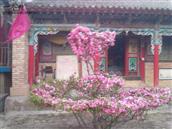 甘肃省,陇南市,礼县,宽川乡,廖寺村
