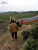 湖南省,永州市,蓝山县,竹管寺镇,李子荣村