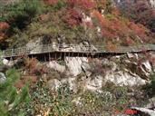 河南省,洛阳市,嵩县,车村镇,水磨村