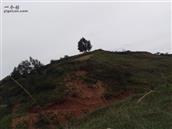 甘肃省,临夏州,积石山县,安集乡,风光村