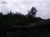 甘肃省,临夏州,积石山县,安集乡,风光村