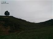 甘肃省,临夏州,积石山县,安集乡,风光村