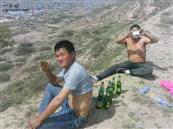 甘肃省,天水市,甘谷县,新兴镇,半屲村