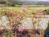 福建省,南平市,邵武市,拿口镇,南溪村