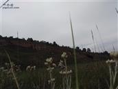 甘肃省,临夏州,积石山县,安集乡,风光村