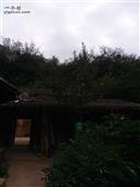 甘肃省,临夏州,积石山县,安集乡,风光村