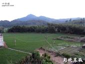 广东省,揭阳市,揭西县,五云镇,赤告村