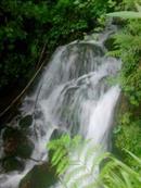 云南省,昭通市,彝良县,洛泽河镇,笋叶村