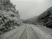 云南省,昭通市,彝良县,洛泽河镇,笋叶村