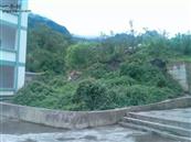 云南省,昭通市,彝良县,洛泽河镇,笋叶村