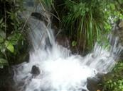 云南省,昭通市,彝良县,洛泽河镇,笋叶村